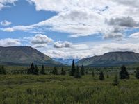 Mountain Vista Trail at Denali National Park